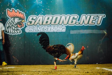 logro sa sabong